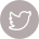 Logo Twitter