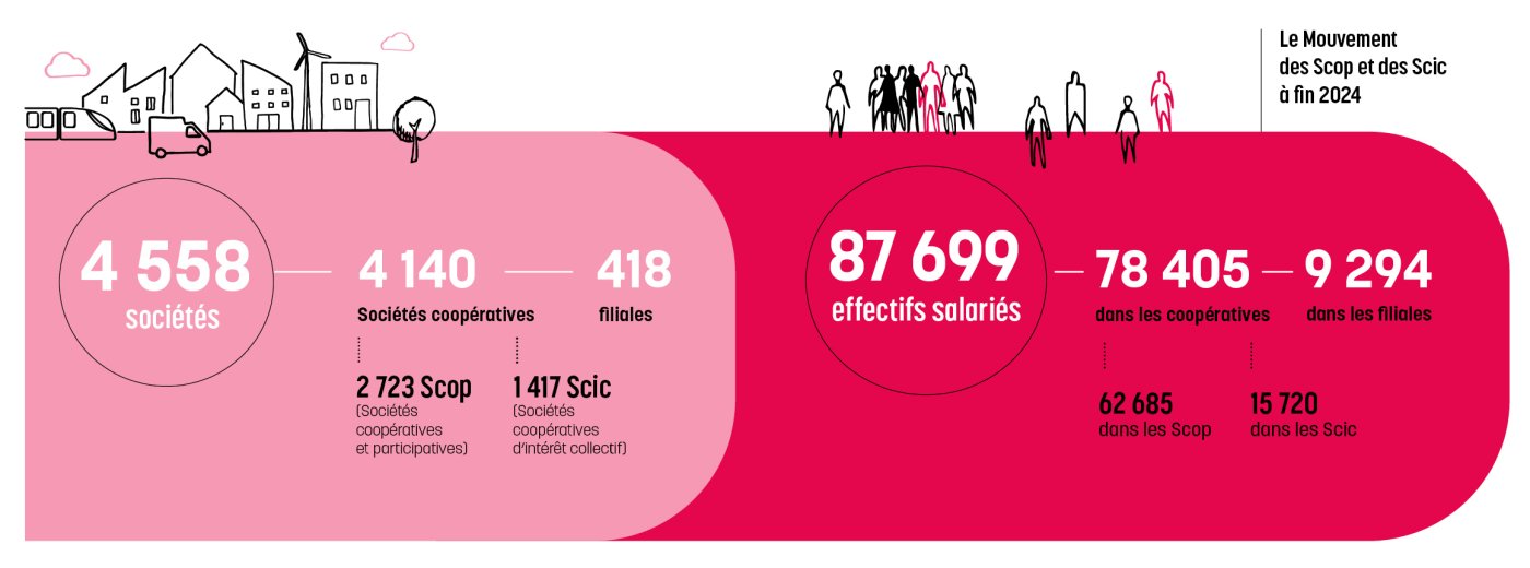sociétés coopératives en 2024